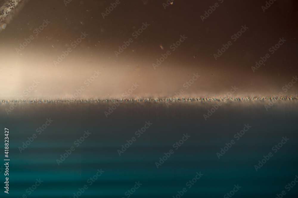 Fototapeta premium マクロ写真