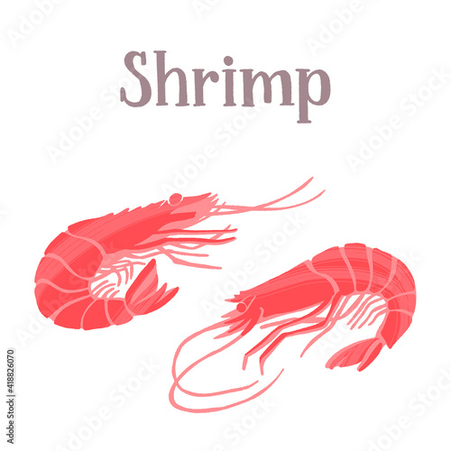 Seafood healthy nutrition product. Fresh tasty shrimps.