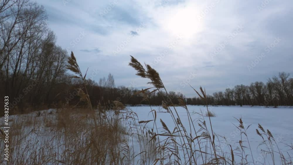 The situation when a person finds himself in a winter forest without means of communication, can happen to any of the lovers of winter hikes in the forest. The situation when a person finds himself in a winter forest without means of communication, can happen to any of the lovers of winter hikes in the forest.