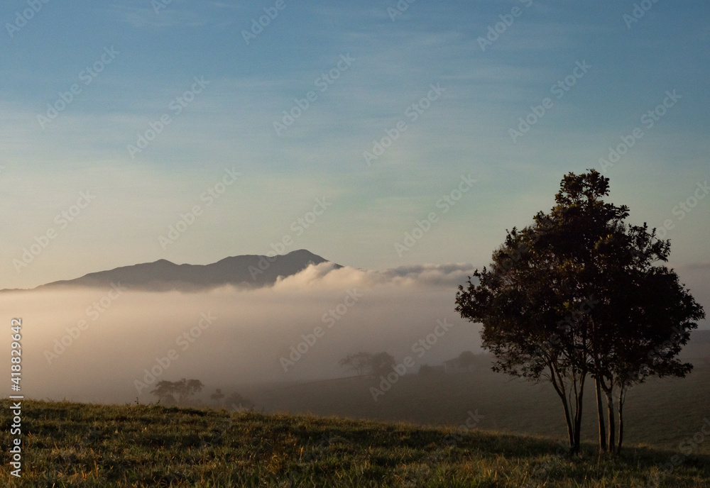Mt Bartle Frere in early morning mist Mt Bartle Frere in early morning mist