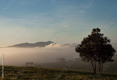 Mt Bartle Frere in early morning mist