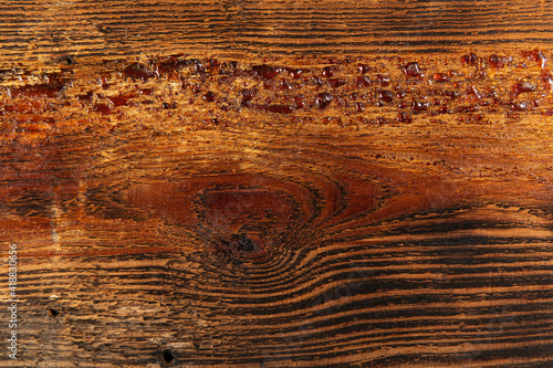 texture of burnt coniferous board with drops of resin
