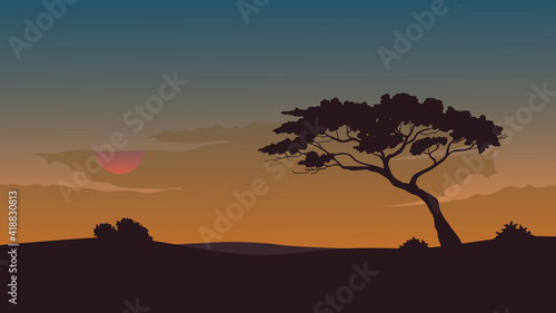 Landscape lonely tree with blue sky background in wide grassland