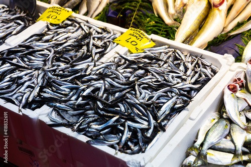 Closeup of various fresh sea fish for sale on counter in Istanbul bazaar, price tags in Turkish photo