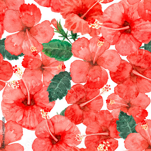 Hibiscus Flower watercolor seamless pattern coloerful flowers blossom photo