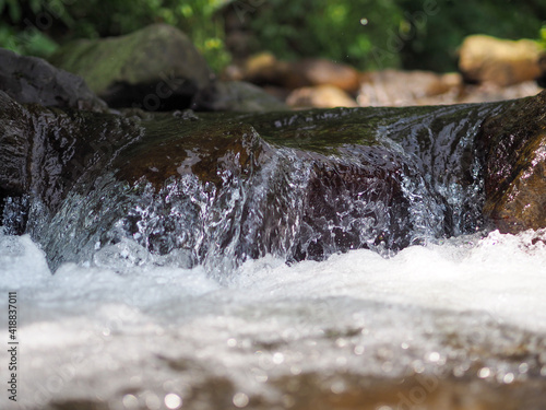 stream of river water in the middle of the forest