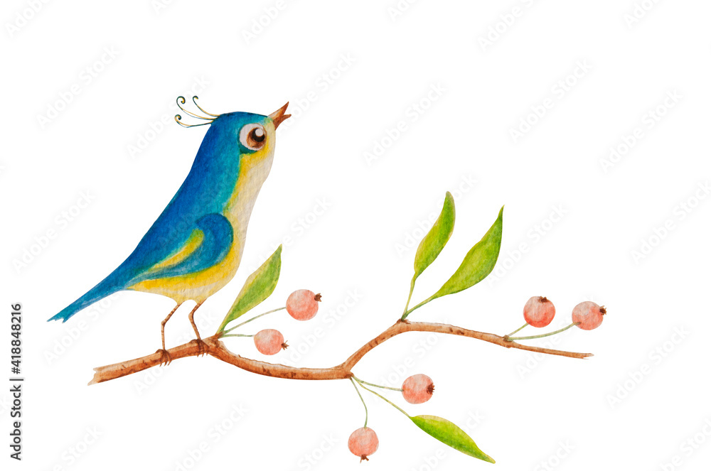 This is a watercolor illustration of a bird sitting on a branch and singing. There are berries and spring leaves on the branch. The image is isolated from the background.