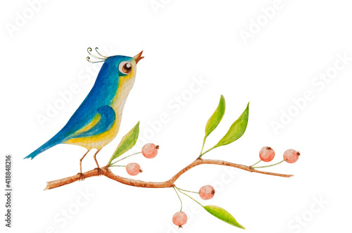 This is a watercolor illustration of a bird sitting on a branch and singing. There are berries and spring leaves on the branch. The image is isolated from the background. © Marina