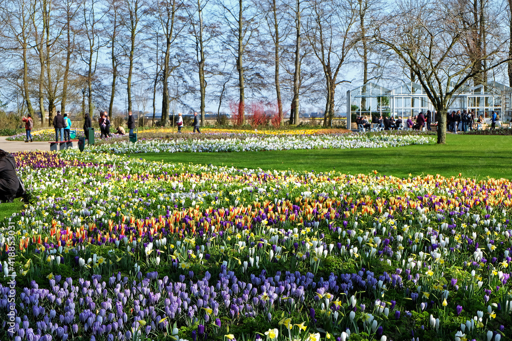 'KEUKENHOF' (Garden of Europe), one of the world's largest flower gardens in South Holland- Netherlands 'KEUKENHOF' (Garden of Europe), one of the world's largest flower gardens in South Holland- Netherlands