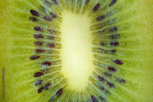 A slice of ripe juicy kiwi closeup. Detailed bright macro photo. photo