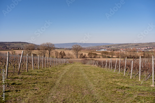 Obraz na płótnie Stadecken-Elsheim w salonie