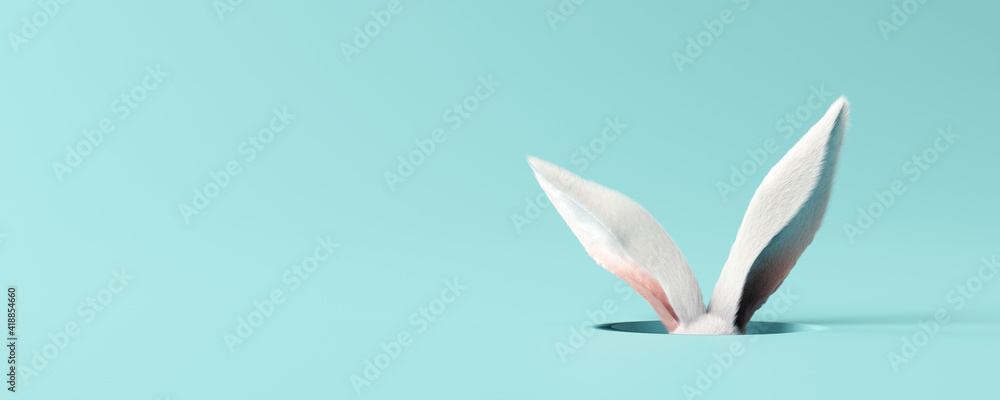 Fototapeta White rabbit ear on pastel blue background. Easter day. 3d rendering