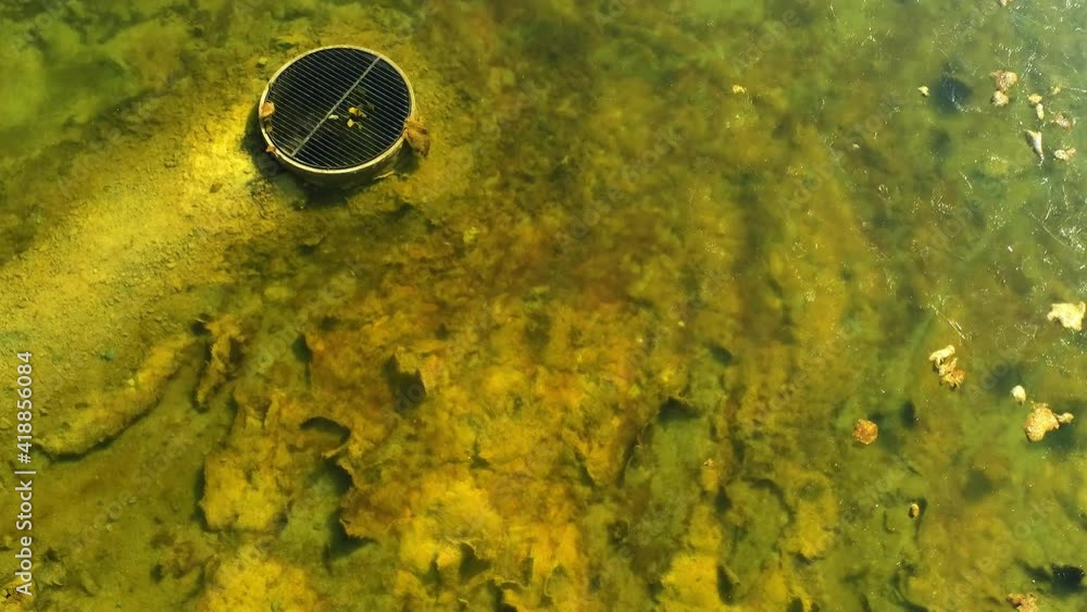 Water drain in the canal. Green algae in water surface. Water drain in the canal. Green algae in water surface.