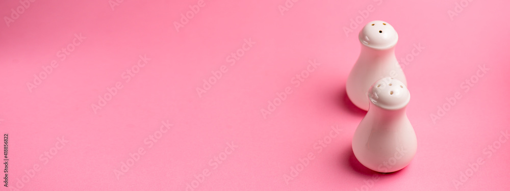 Salt and Pepper shaker isolated on pastel pink background. Copy space banner Salt and Pepper shaker isolated on pastel pink background. Copy space banner