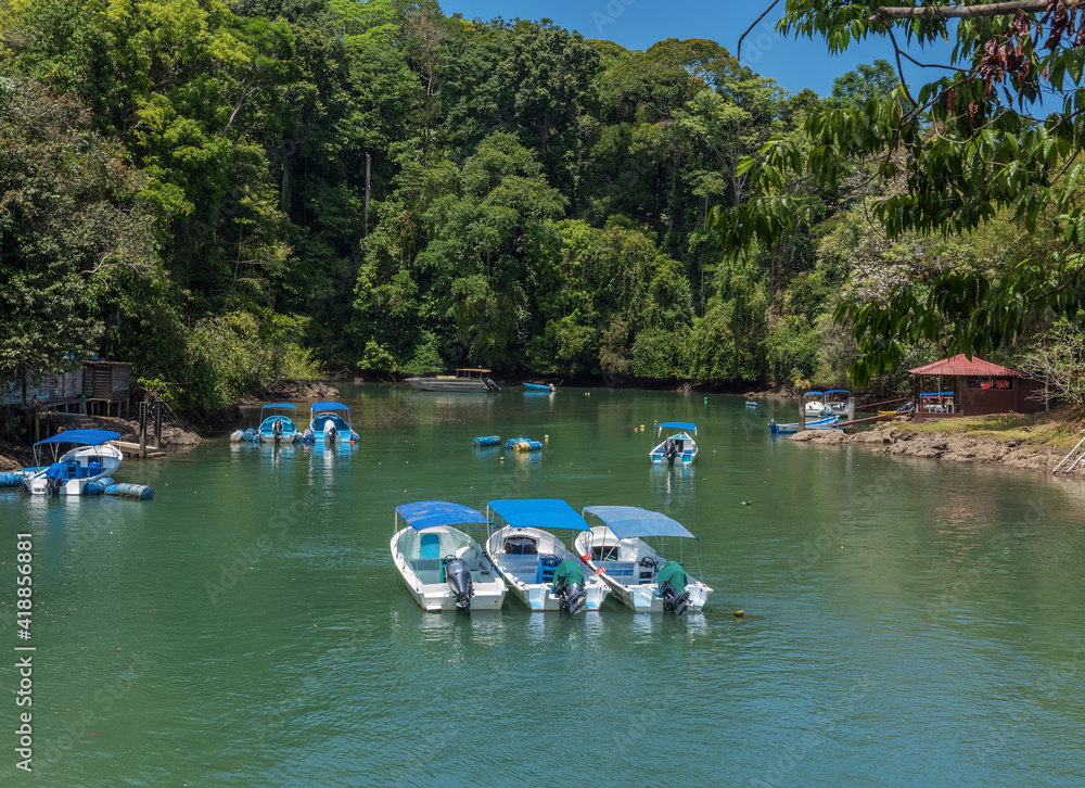 Fototapeta premium small marina at Drake Bay, Costa Rica