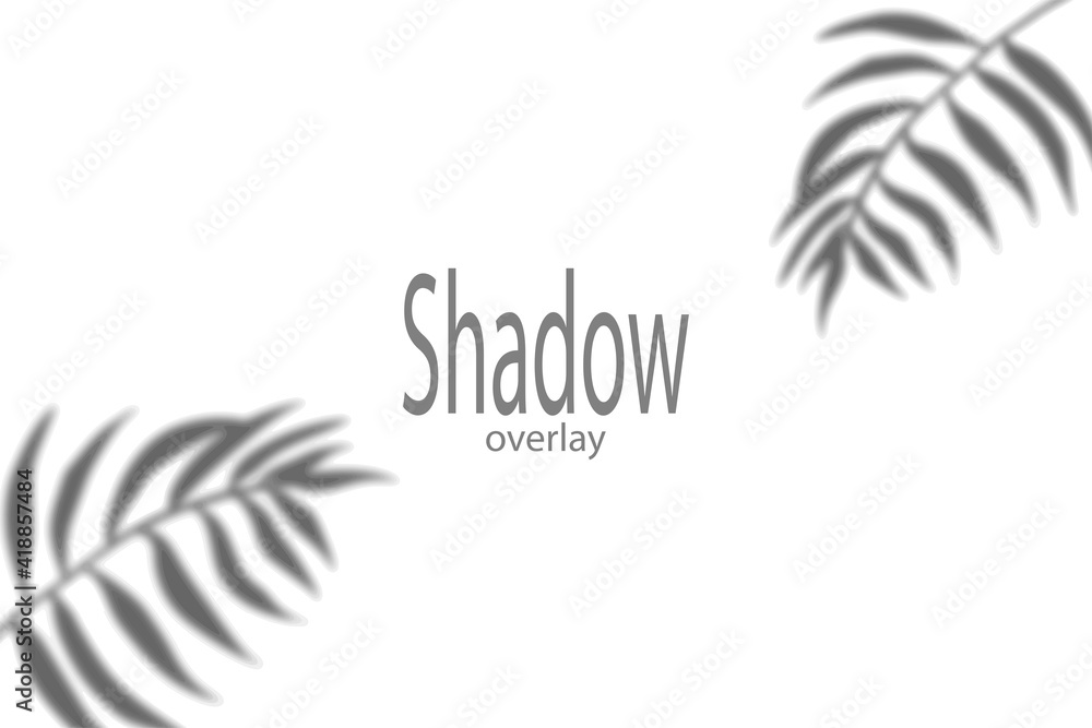 Gray shadow from leaves on a white background. Vector illustration.