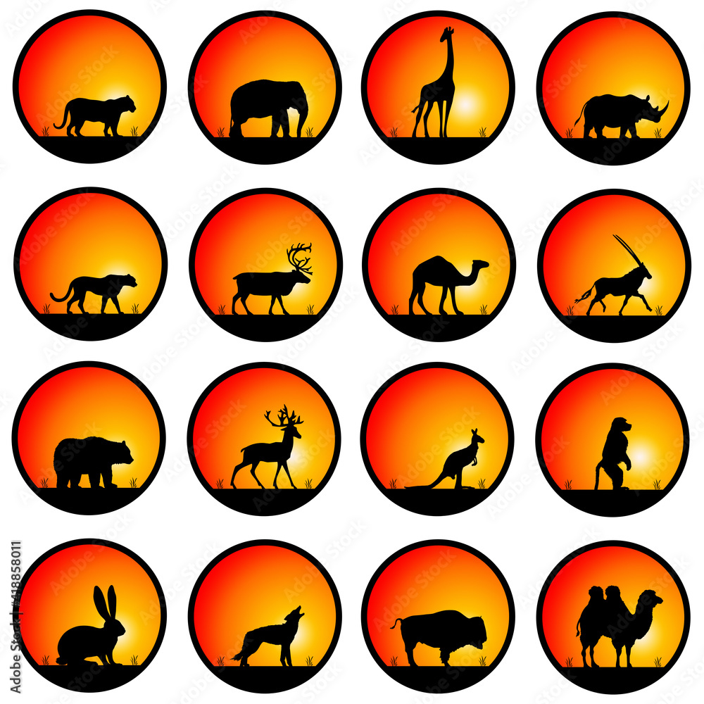 Naklejka premium wildlife silhouettes