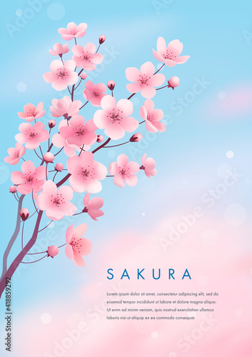 Spring cherry blossom greeting card. Vector illustration of realistic blossoming sakura flowers on blue sky background