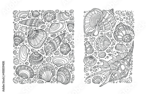 Photography Seashell pattern