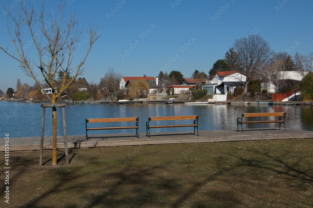 Early spring at Neufelder Lake in Neufeld an der Leitha, Burgenland, Austria, Europe
