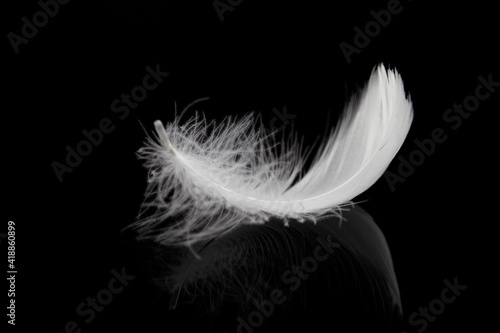 Soft and Light Fluffy White Feather on Black Background.