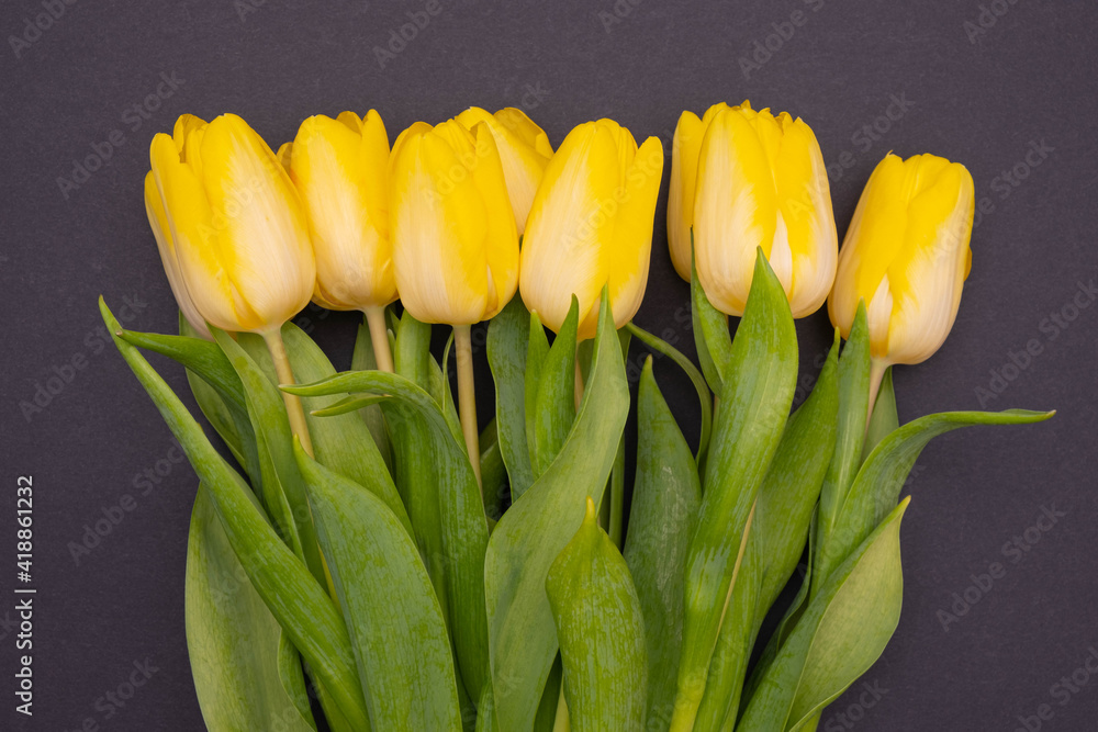 Naklejka premium on a black background a large beautiful bouquet of yellow tulips
