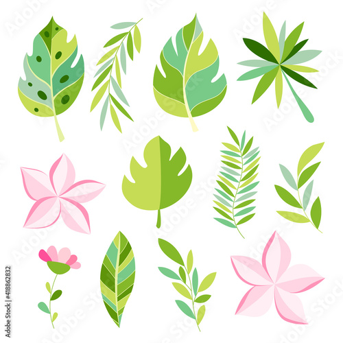 Tropical collection with exotic flowers and leaves.