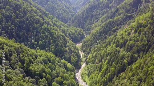 Drone flight above Latorita Valley during morning time. Flying above the sinuous road winding along the river through beech and fir forests. Carpathian Mountains, Romania photo