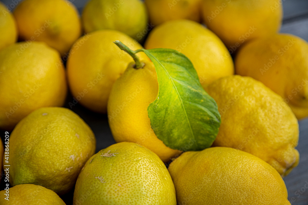 Group of  lemons with one bearing a leaf on a wood table