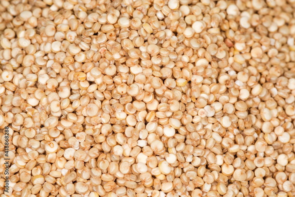 Background of white quinoa seeds on pile, selective focus Background of white quinoa seeds on pile, selective focus