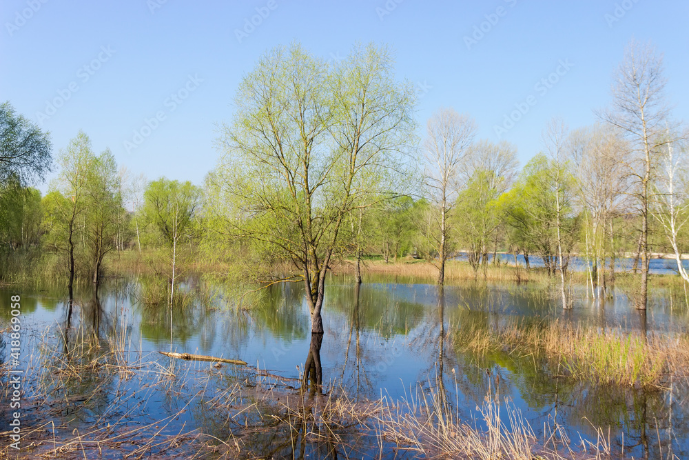 Trees and shrubs standing in water during the spring flood