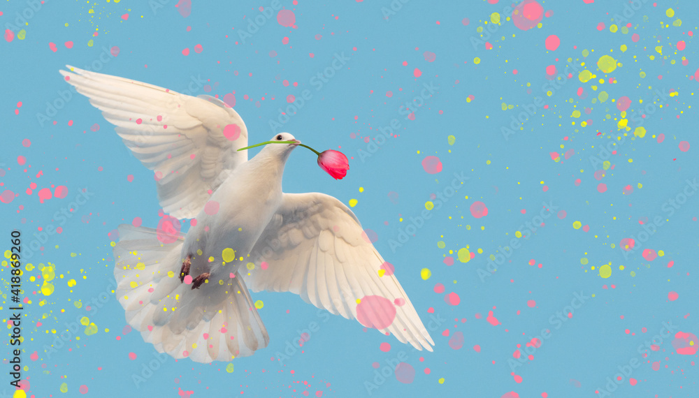 white dove flies with a flower in its beak