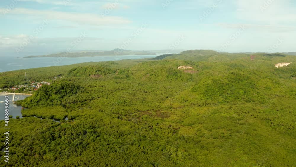 Seascape with the coast of the tropical island of Siargao, covered with forest and palm trees against the sky and blue water. Seascape with the coast of the tropical island of Siargao, covered with forest and palm trees against the sky and blue water.