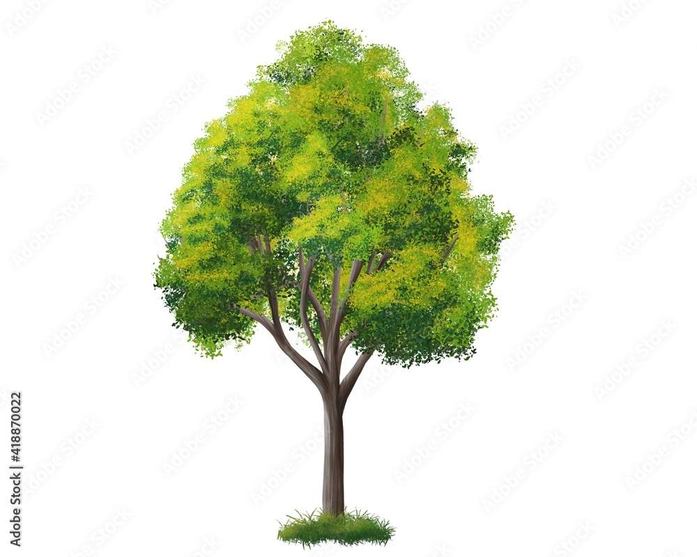 Architectural Trees Elevation Stock Illustrations – 71 Architectural Trees  Elevation Stock Illustrations, Vectors & Clipart - Dreamstime