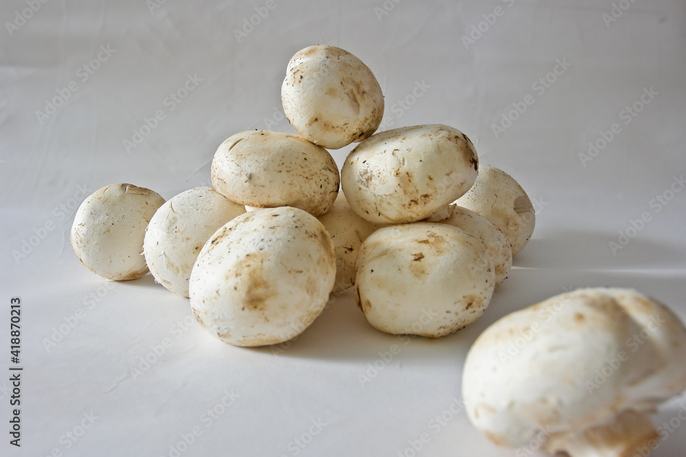 food mushroom white color beautiful food mushroom white color beautiful