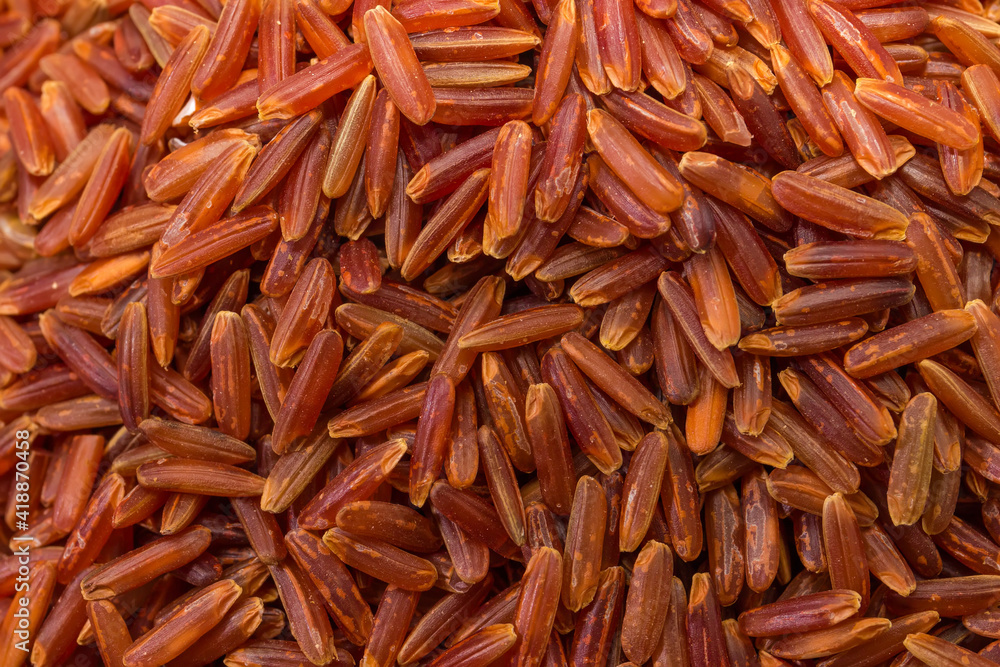 Background of raw long-grained red rice close-up Background of raw long-grained red rice close-up