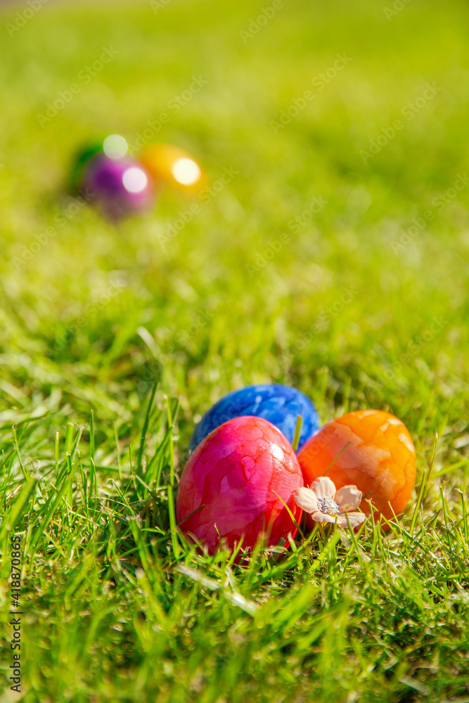 Fototapeta premium Colorful painted Easter eggs in the bright fresh green grass, concept for Easter Holliday, spring background with copy space