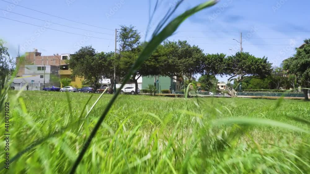 view from the ground walking through a park in the foliage view from the ground walking through a park in the foliage