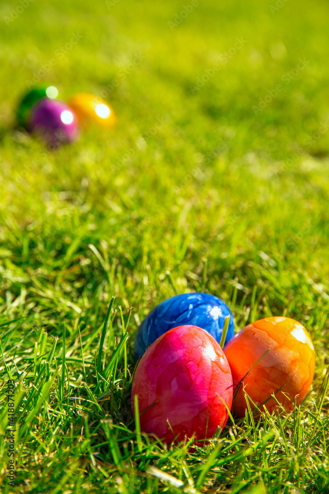 Fototapeta premium Colorful painted Easter eggs in the bright fresh green grass, concept for Easter Holliday, spring background with copy space