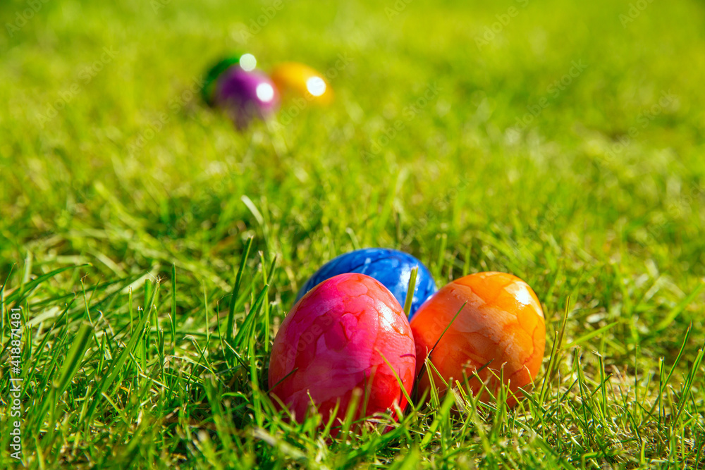 Fototapeta premium Colorful painted Easter eggs in the bright fresh green grass, concept for Easter Holliday, spring background with copy space