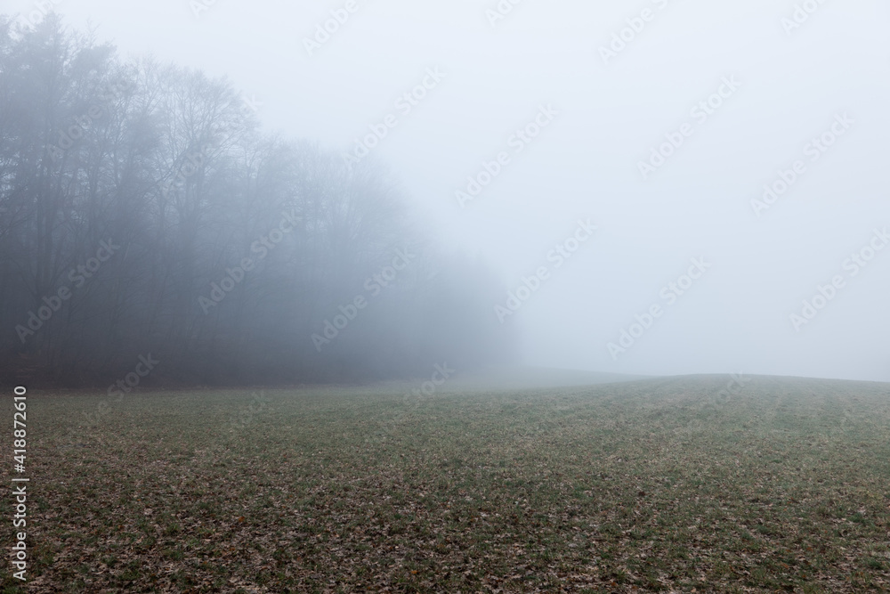 Fototapeta premium Nebel über dem Acker