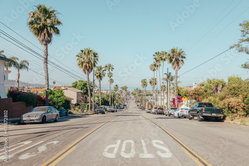 Straße mit Palmen in Kalifornien  © romanb321