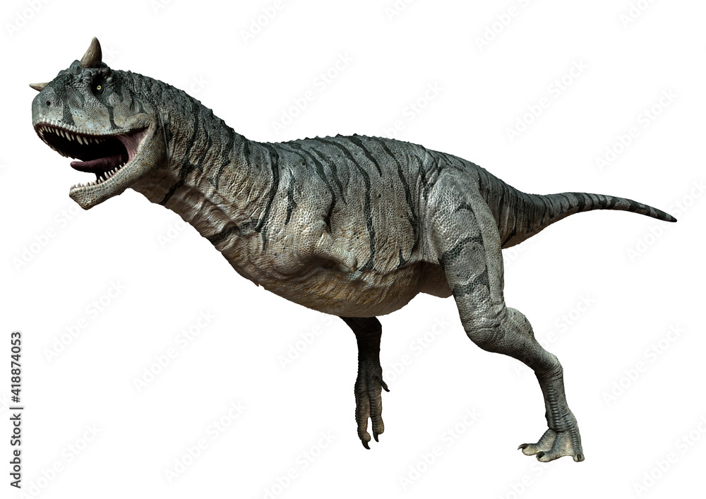 3D Rendering Carnotaurus Sastrei Dinosur on White 3D Rendering Carnotaurus Sastrei Dinosur on White