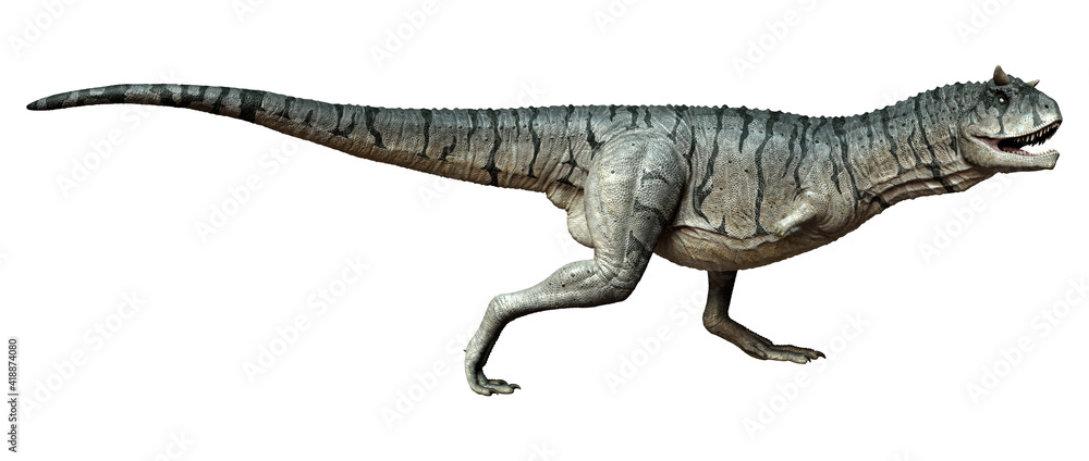 3D Rendering Carnotaurus Sastrei Dinosur on White 3D Rendering Carnotaurus Sastrei Dinosur on White