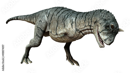 Fototapeta Naklejka Na Ścianę i Meble -  3D Rendering Carnotaurus Sastrei Dinosur on White