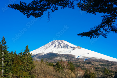 青空を背景に迫るような冬の富士山（水ヶ塚公園）