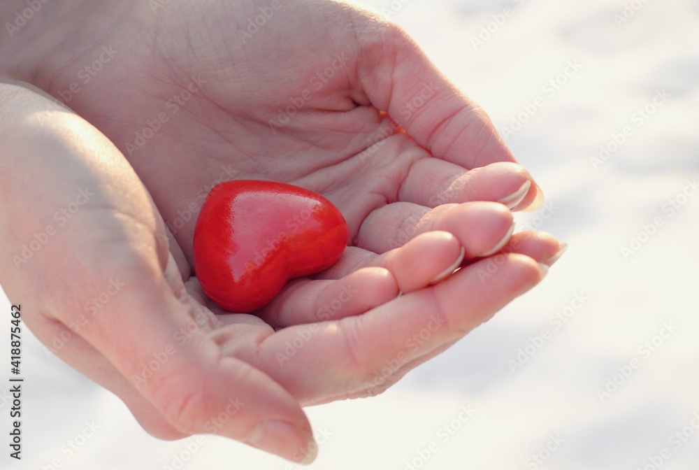 Woman holding red heart in her hands. Organ donation, charity, health care, cardiology, health insurance, love and family