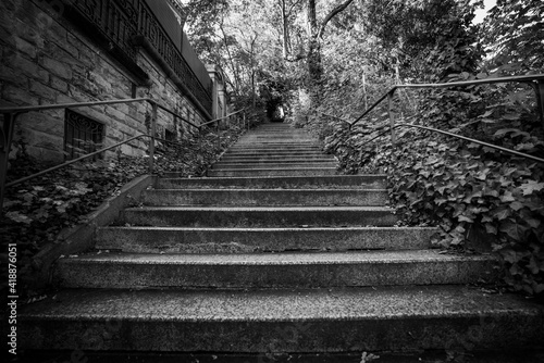 Fototapeta Naklejka Na Ścianę i Meble -  stairs in the park black and white