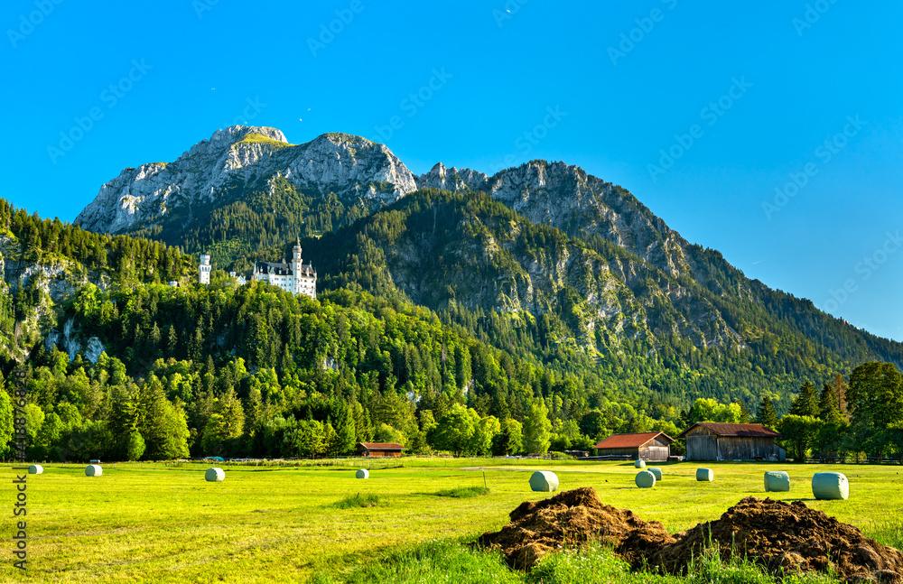 Neuschwanstein Castle with hay bales in a field below. Bavarian Alps, Germany