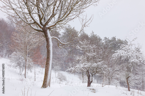 Schneesturm am Wolfstein © Margarete Mörtel